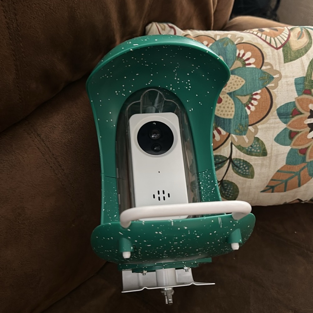 Bird Dock Bird Feed Camera